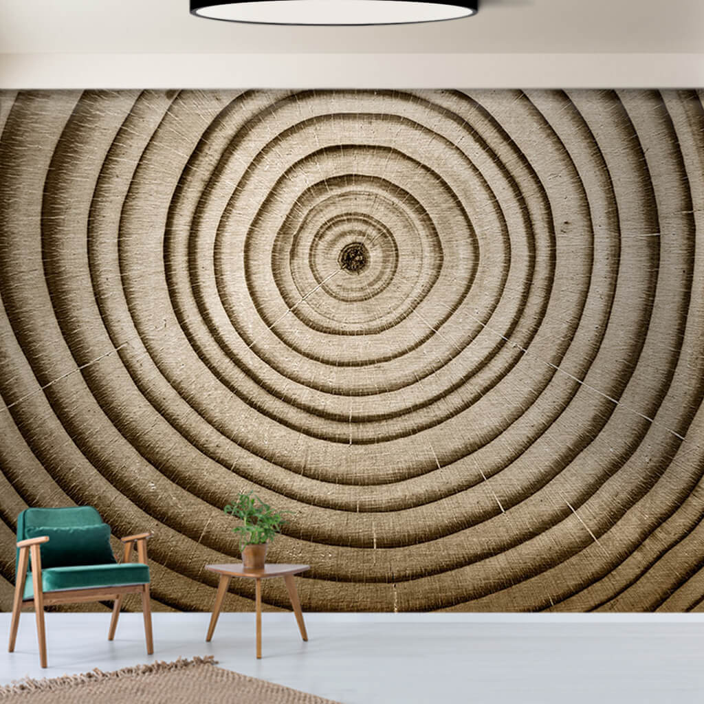 Tree cross section age rings wood textured detail wall mural