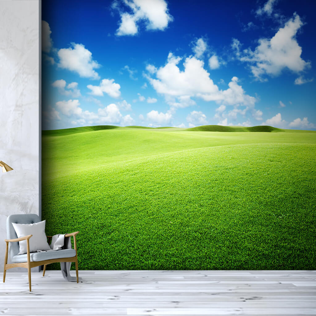 Green grassy meadows and blue sky scalable custom wall mural