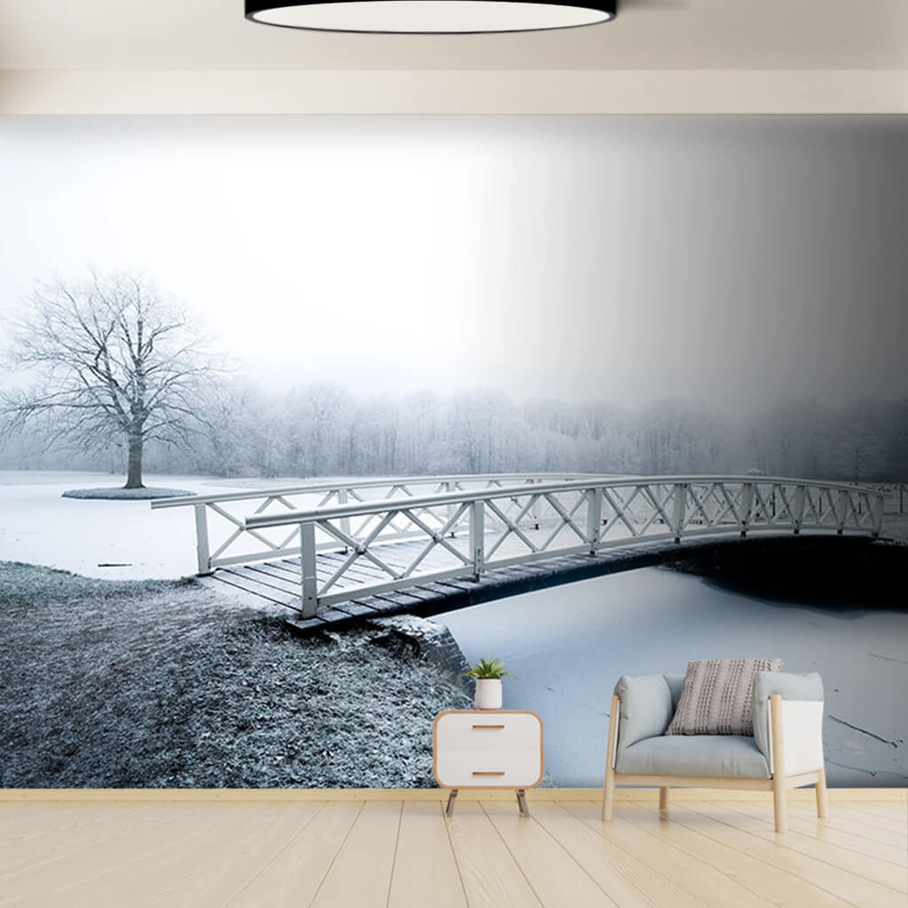 Snowy wooden bridge on the icy river winter wall mural
