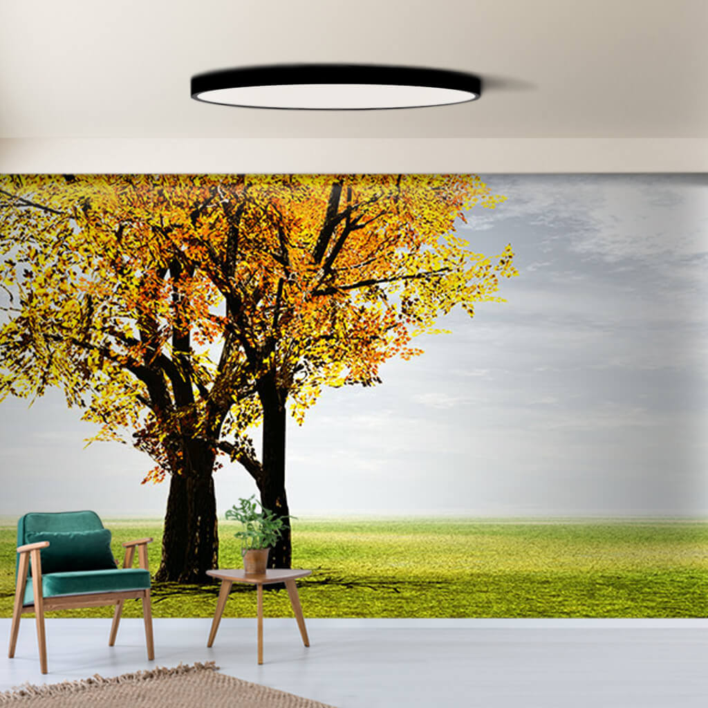 Morning fog and trees on the plains panoramic wall mural