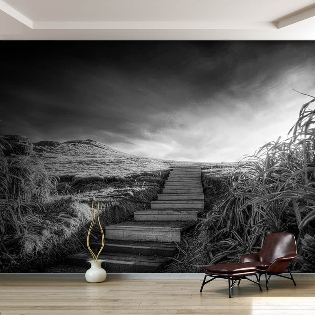 Wooden stairs in meadow plateau black and white wall mural