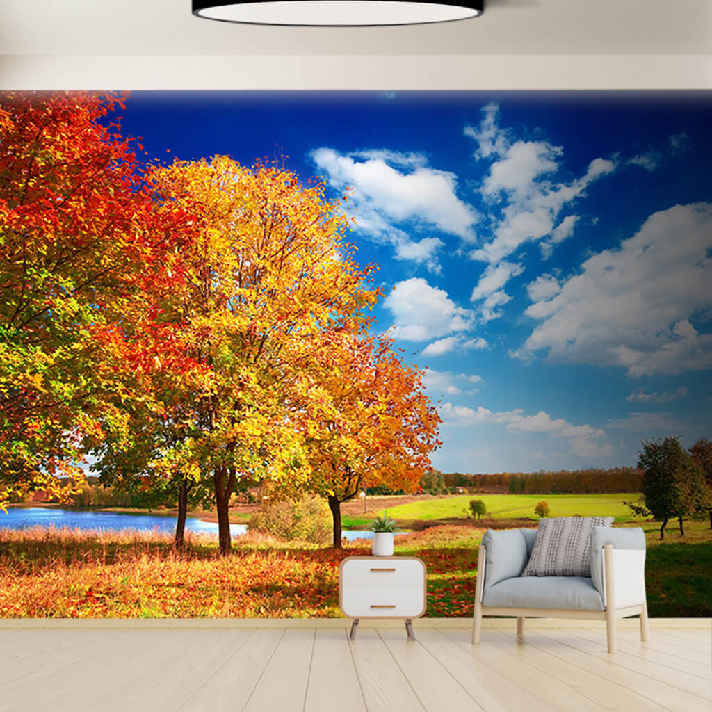 Trees next to river in autumn scalable custom wall mura