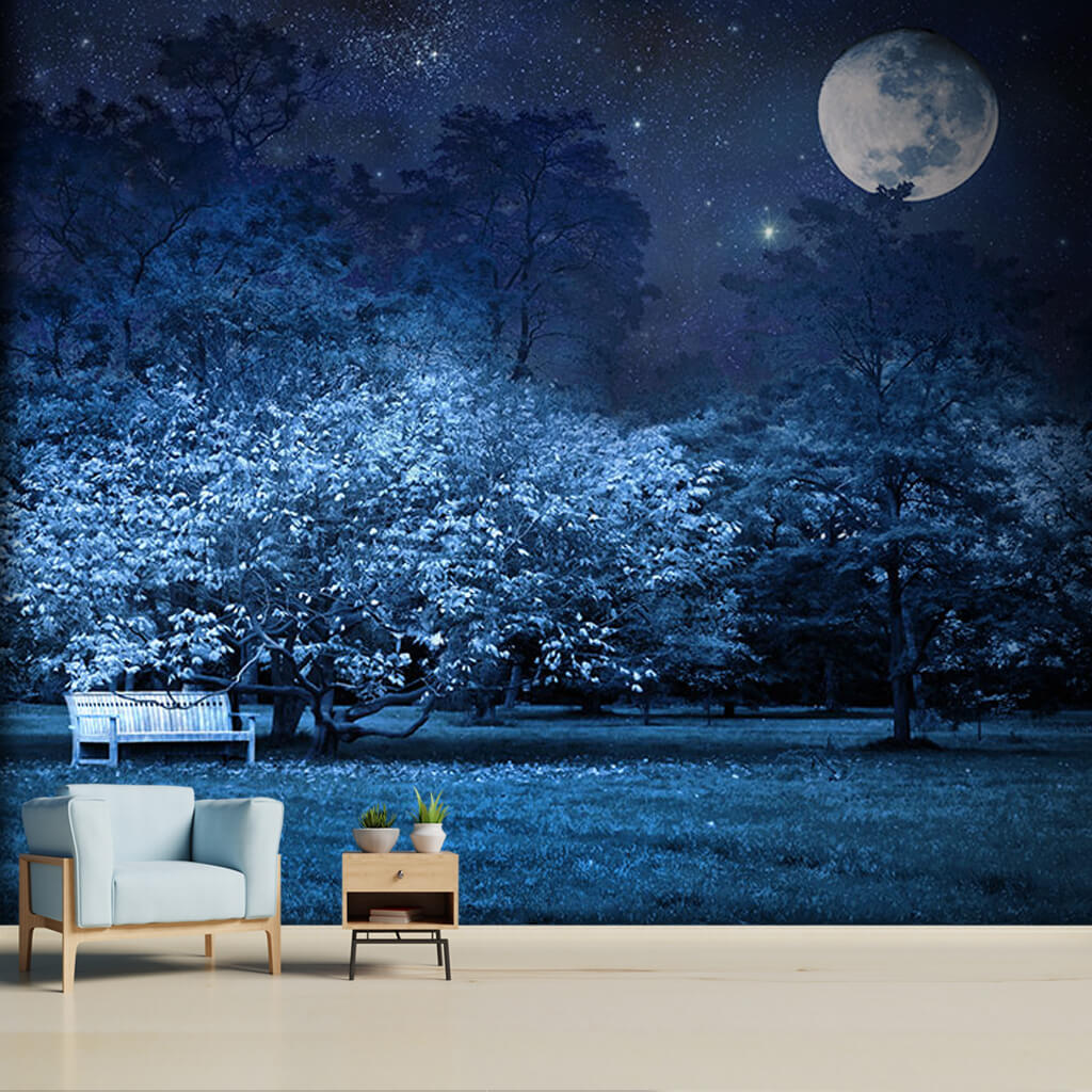 White bench under the night full moon and stars wall mural