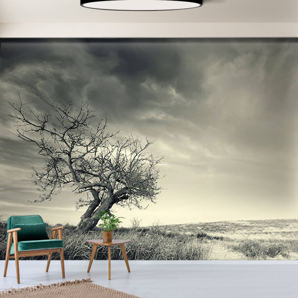Lone dried tree in the plain black and white wall mural