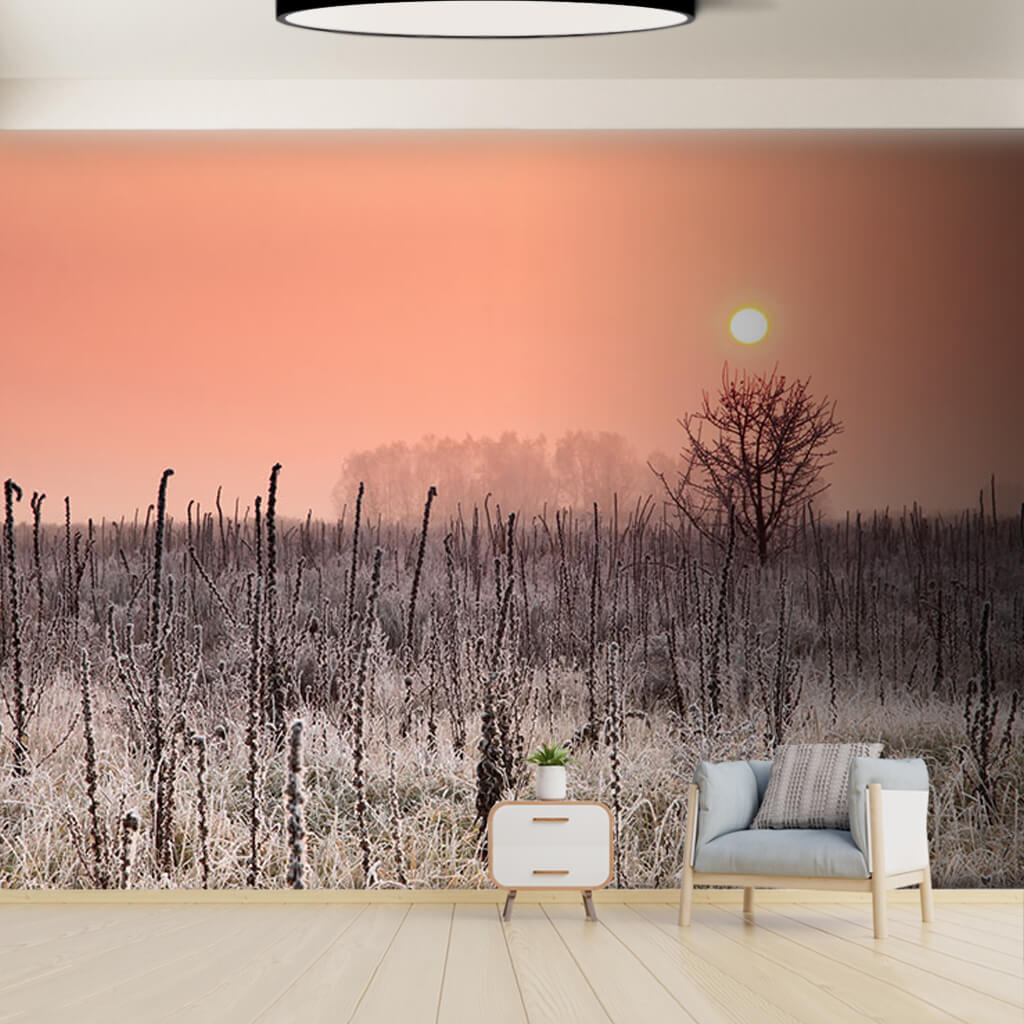 Sunrise in the frozen steppe in Poland winter wall mural