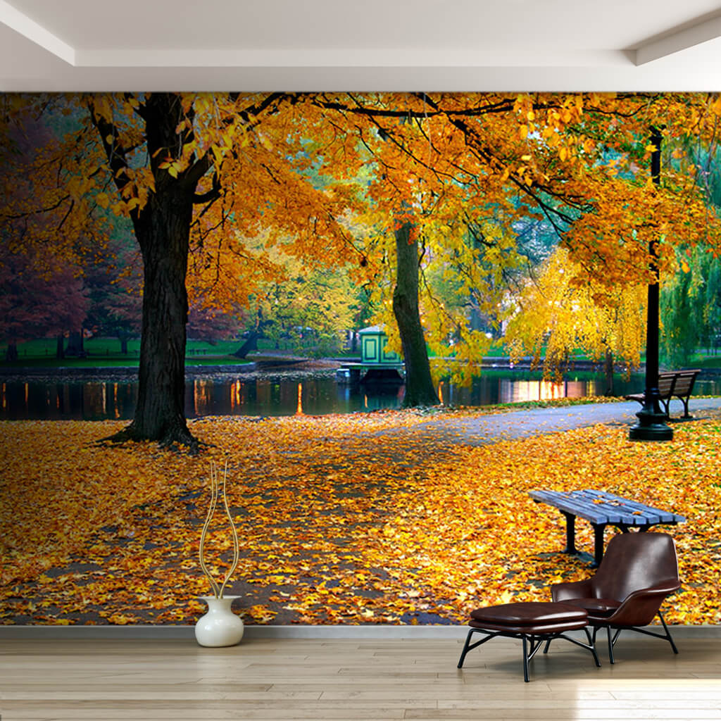 Sonbaharda Boston Kamu Parkı ve sarı yapraklar duvar kağıdı