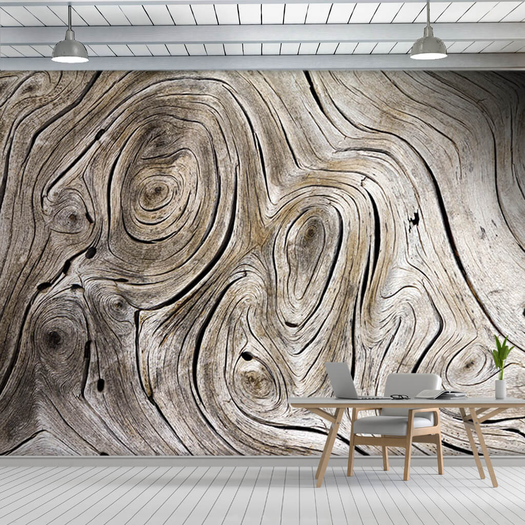 Swirl shaped tree rings on rustic textured wood wall mural