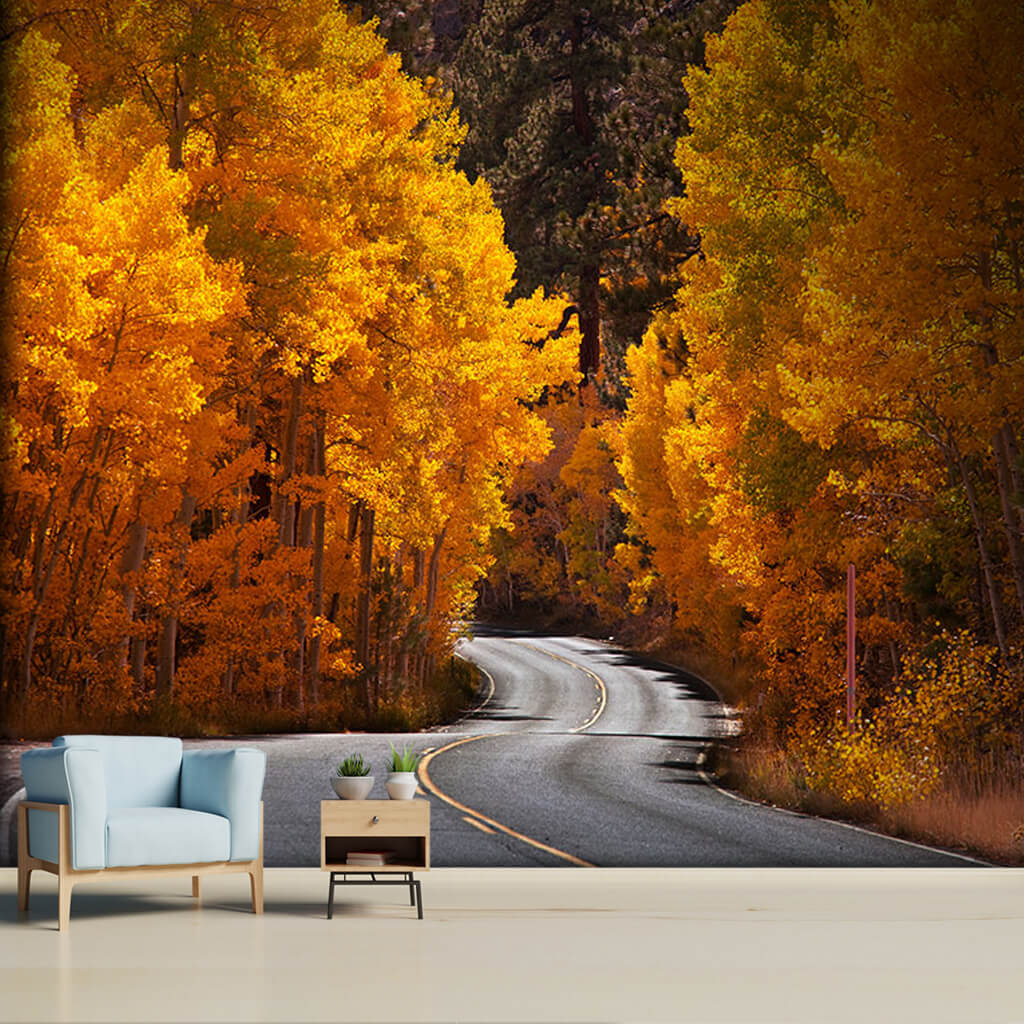Sarı yapraklı ağaçlar arasındaki yol sonbahar duvar kağıdı
