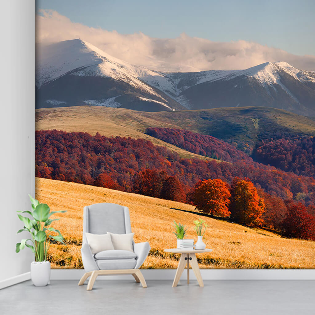 Karpat dağlarında sonbahar ve doğa manzara duvar kağıdı