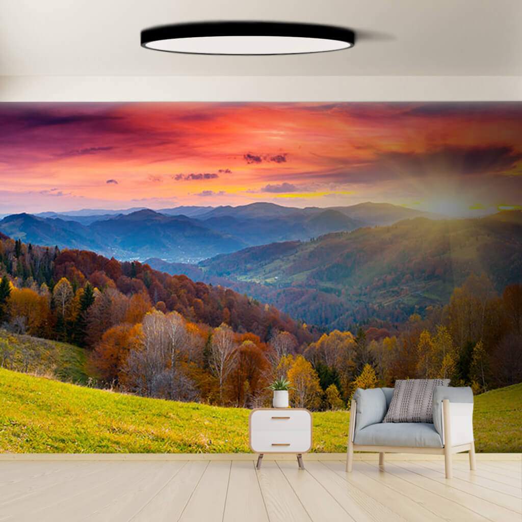 Colorful forest in autumn and sky view custom wall mural