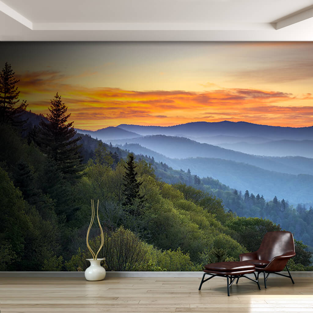 Great Smoky Mountains Nnational Park Tennessee US wall mural