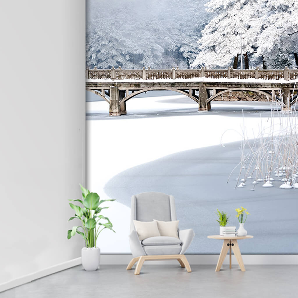 Bridge over the frozen river and snow Russia wall mural