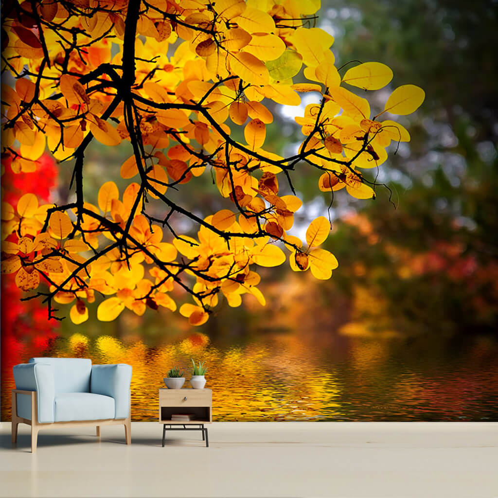 Yellow autumn leaves over the lake tree branch wall mural