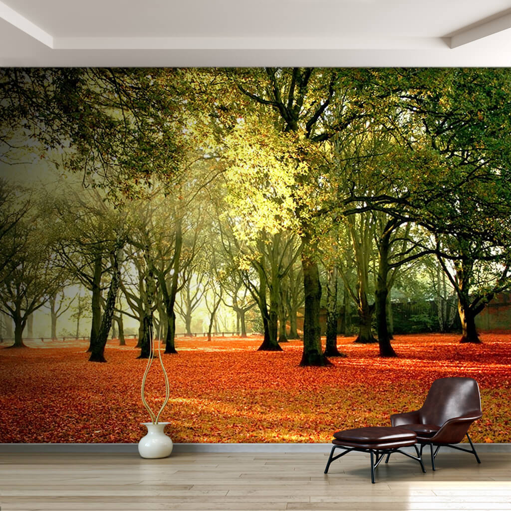 Red leaves and trees in parks autumn custom wall mural