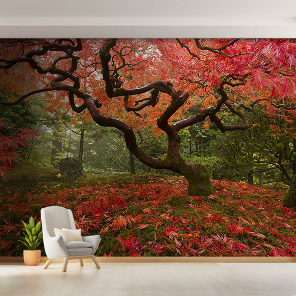 Ormanda kırmızı yapraklı otantik Japon bahçesi duvar kağıdı