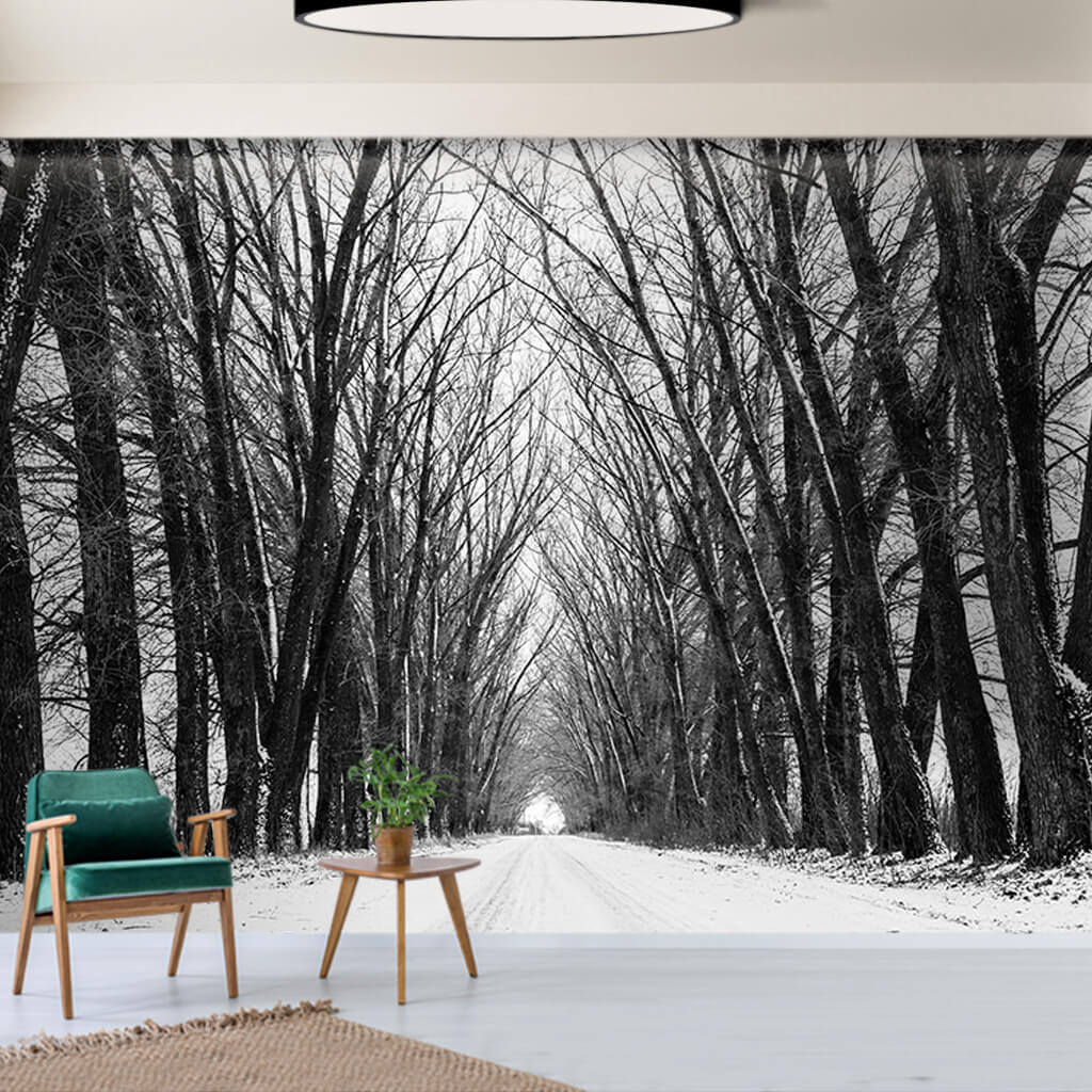 Snowy tree-lined road winter landscape nature wall mural