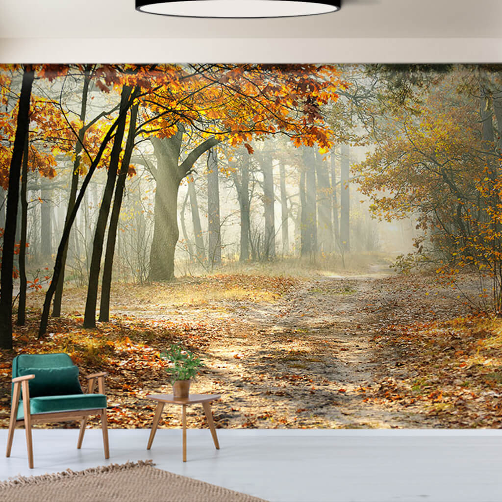Dirt road in foggy forest autumn landscape custom wall mural