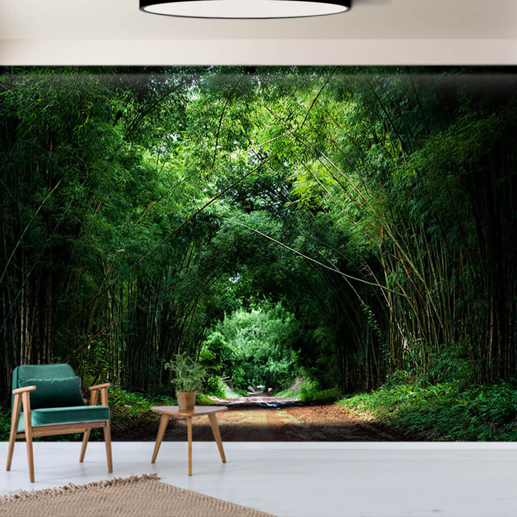 Yeşil bambu ağaçlı orman yolu bitki tüneli doğa duvar kağıdı