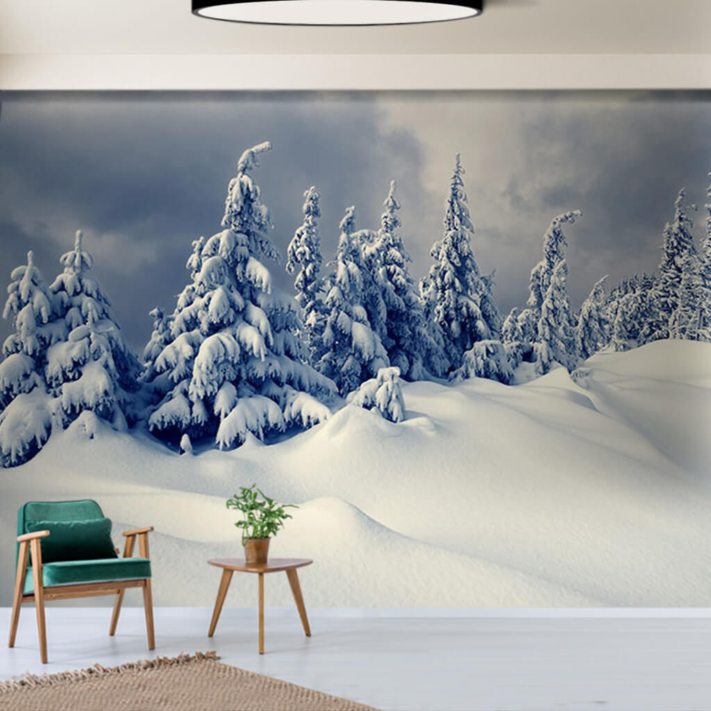 Karlı dağ sırtında çam ağaçları Kış manzarası duvar kağıdı