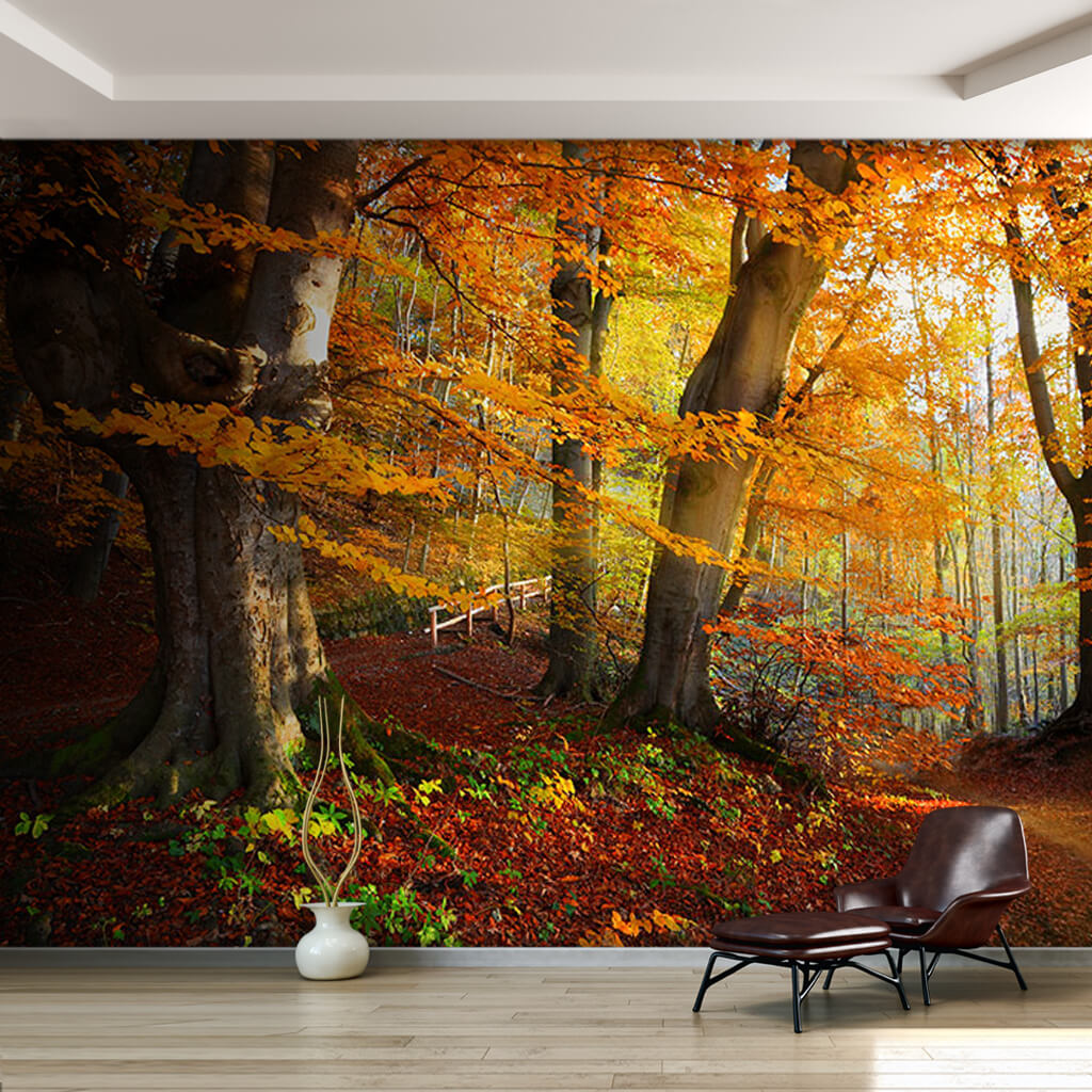 Fallen yellow leaves and forest autumn season wall mural