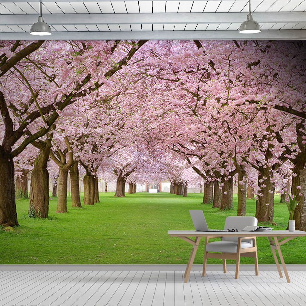 Pink flowering cherry trees sakura landscape wall mural