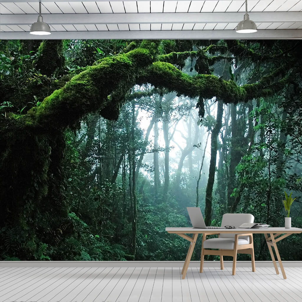 Moss covered trees and rain forest custom nature wall mural