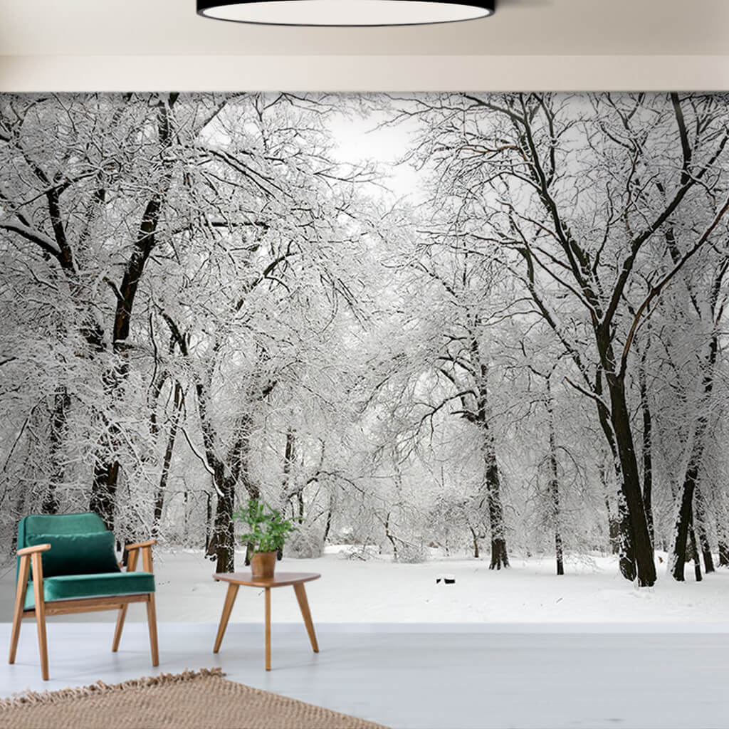 Snowy trees in the park in winter Budapest Hungary wall mural