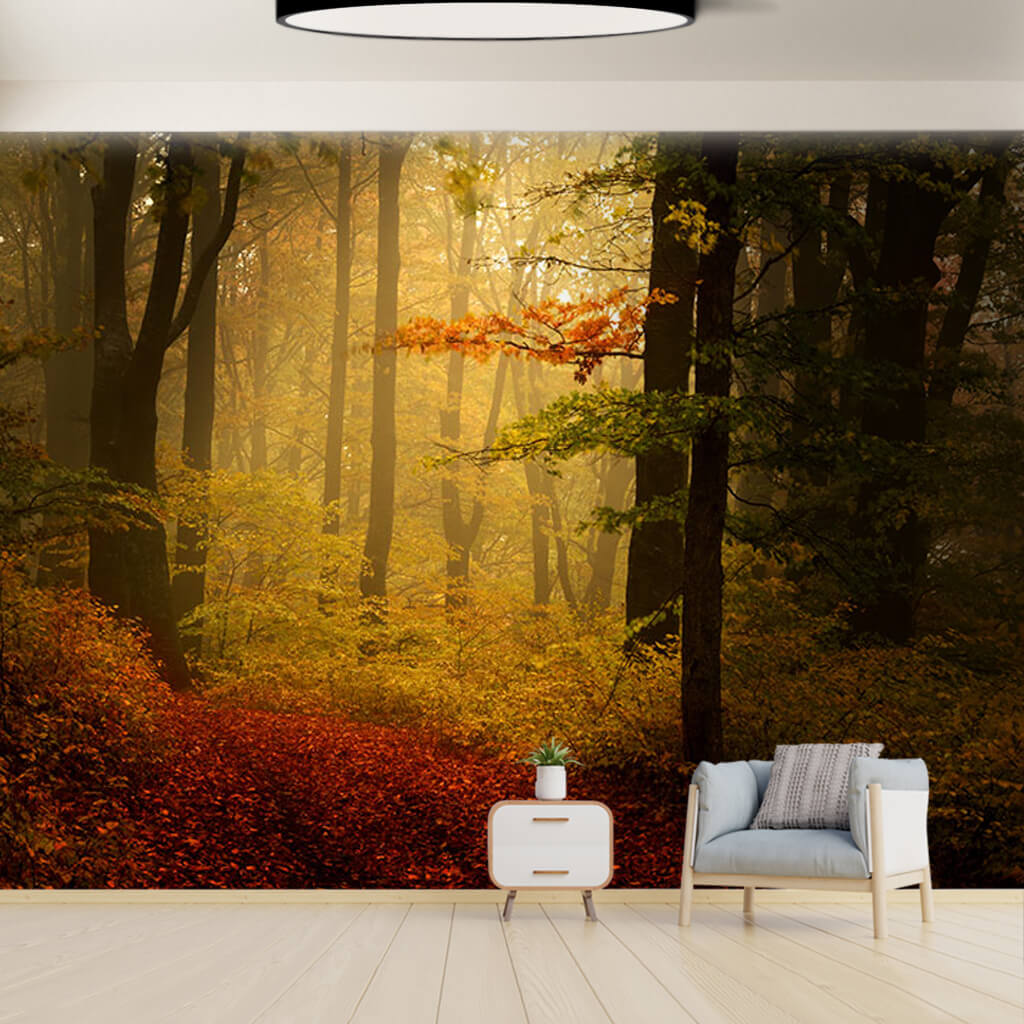 Sisli ormanda sonbahar renkleri doğa manzarası duvar kağıdı