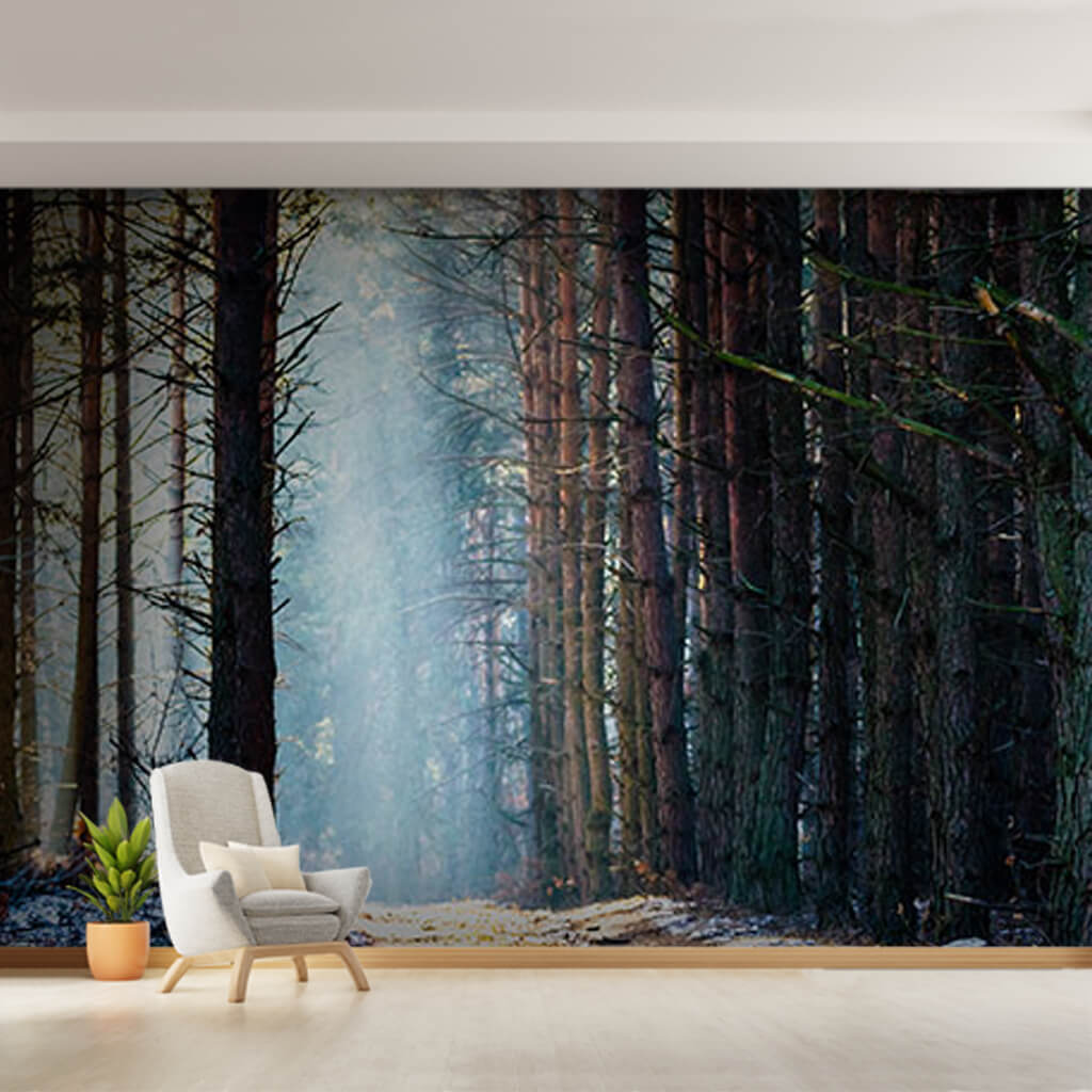 Daylight leaked into the black forest panoramic wall mural