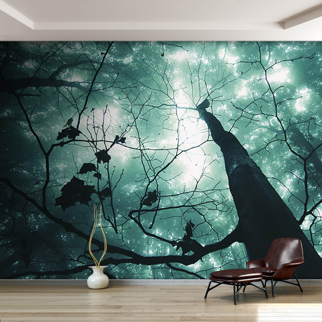 Mysterious green fog in forest from below ceiling wall mural