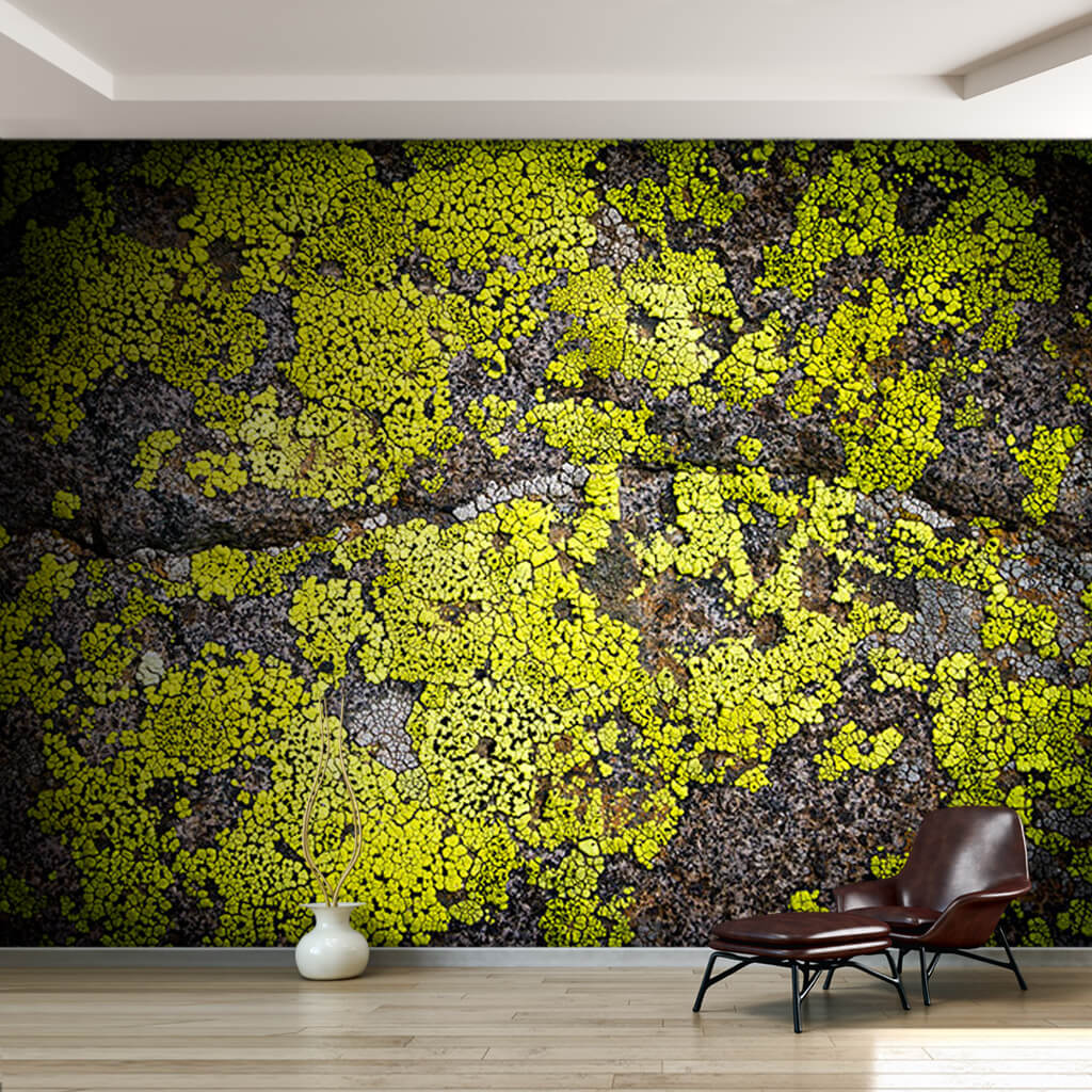Green rock moss pattern on stone texture custom wall mural